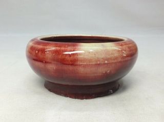 A230 Chinese porcelain SUIU water pot of cinnabar glaze SHINSHA with name of era 6
