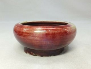 A230 Chinese porcelain SUIU water pot of cinnabar glaze SHINSHA with name of era 7