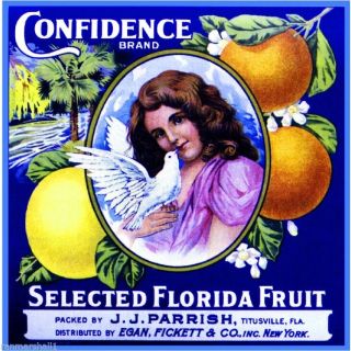 Titusville Confidence Florida Orange Citrus Fruit Crate Label Art Print