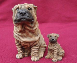 Immaculate Castagna " Shar Pei Female Dog & Puppy " Figures