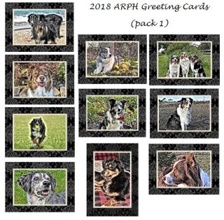 Aussie Rescue - Blank Notecards (pack 1)