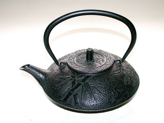 Stunning Chinese Ching Dynasty Cast Iron Black On Black Teapot