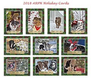 Aussie Rescue - Holiday Cards (blank Inside)