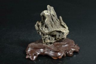 S9897: Japanese Stone Culture Or Hobby Of Viewing Stone Indoors,  Bonsai Garden