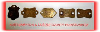 Antique Dog License Tag 1914 Northampton/lehigh County Pa Pennsylvania Brass