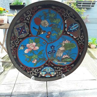 Antique Cloisonne Charger/plate/bowl With Birds Butterfly And Flowers.  9 1/2 Inc
