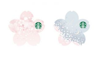 Starbucks Korea 2019 Cherry Blossom Day & Night Card Set