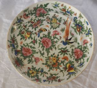 Small Porcelain Hand - Painted Chinese Plate With Birds On It Antique China