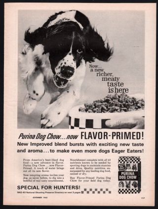 1962 English Springer Spaniel Purina Dog Chow Vintage Photo Ad