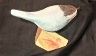 Richard Morgan The Painted Bird: Northeast Sparrow Hand Carved Pine W/tag