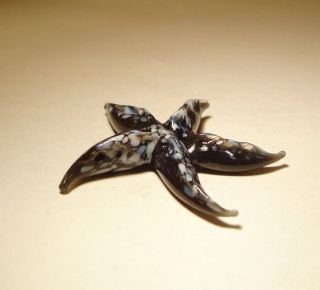 Blown Glass " Murano " Figurine Animal Fish Small Black And White Starfish
