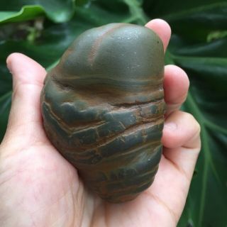 225 G Suiseki Stone Bonsai Thai Mekong River Khong Naga Gems Lucky Viewing Stone