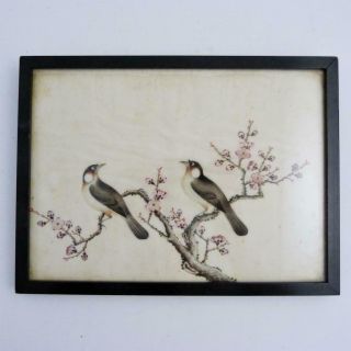 19th Century Chinese Watercolour Painting On Silk Of Two Birds In Blossom Tree