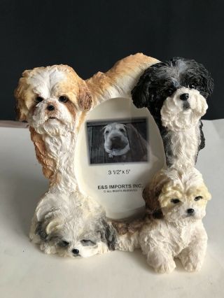 Shih Tzu Dogs 3d Picture Frame 3.  5 " X 5 "