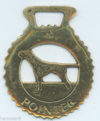 Pointer Horse Brass (n642)