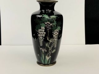 Antique Japanese Meiji Period Black Cloisonné Vase With Details No/r