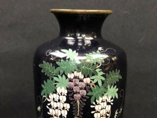 Antique Japanese Meiji Period Black Cloisonné Vase With Details No/R 3