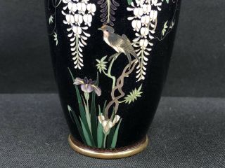 Antique Japanese Meiji Period Black Cloisonné Vase With Details No/R 4