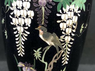 Antique Japanese Meiji Period Black Cloisonné Vase With Details No/R 5