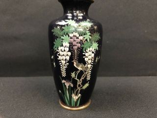 Antique Japanese Meiji Period Black Cloisonné Vase With Details No/R 6