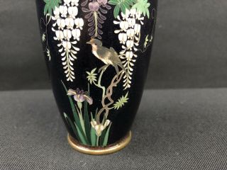 Antique Japanese Meiji Period Black Cloisonné Vase With Details No/R 8