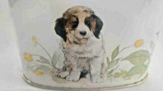 Lovely Hinged Lid W St Bernard Dog And Floral Design Tin Container England Made