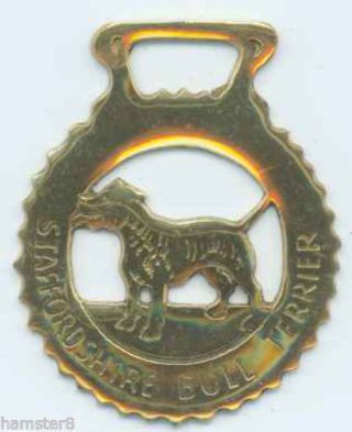 Staffordshire Bull Terrier Horse Brass (n644)