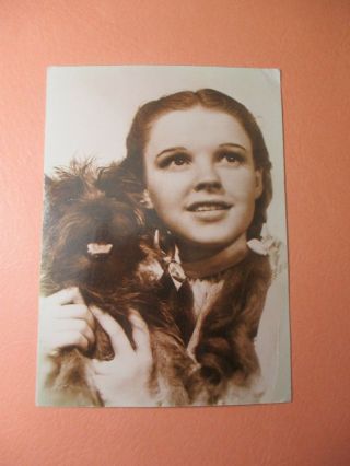 Cairn Terrier Wizard Of Oz Postcard