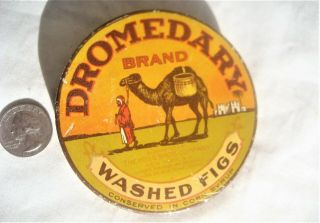 " Dromedary Washed Figs " Round Tin W/camel & Arab Tender Circa Early 1900 