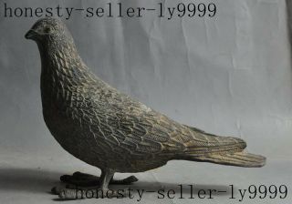 8 " Old Chinese Fengshui Bronze Animal Pigeon Dove Of Peace Bird Statue Sculpture