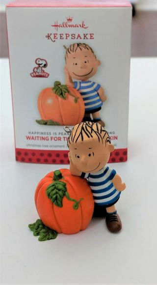 Hallmark 12 Months Of Fun Happiness Is Peanuts " Waiting For The Great Pumpkin "