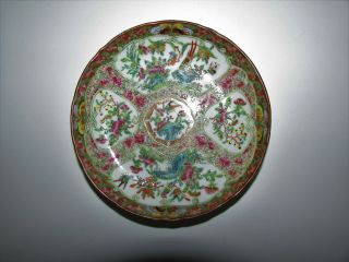 Antique 19th Century Chinese Rose Medallion Bowl with Birds Butterflies 520 2