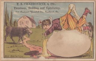 Victorian Trade Card - F S Chadbourne & Co Furniture - Portland,  Or - Child & Huge Egg