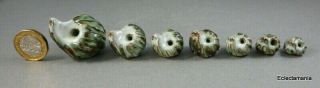 Vintage Set Of 7 Small Pottery Hedgehogs - Briglin Pottery?