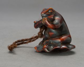 Frog Netsuke In Kyoto Antique Japanese Wooden Figure Tsuge Samurai Sagemono
