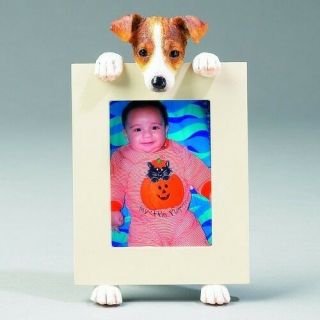 Jack Russell Terrier Frame Dog Picture Photo Frame