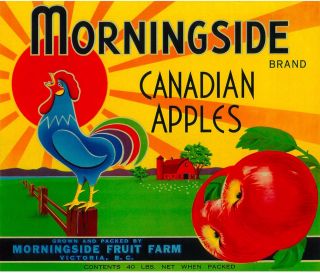 Victoria B.  C.  Canada Morningside Rooster Chicken Apple Fruit Crate Label Print