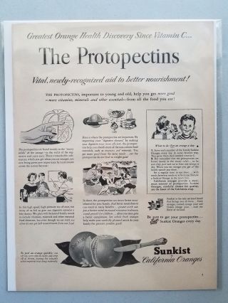 Vintage 1950s Sunkist California Oranges 1952 Fruit Citrus Protopectins Print Ad 3