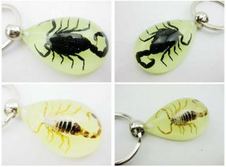 12pcs Golden&black Scorpion With The Glow In The Dark Keyring Tsky001