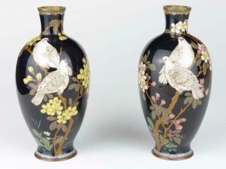 Antique Japanese Cloisonne Dove Vases