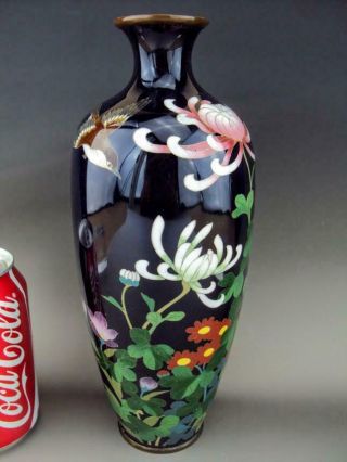 24.  5cm/9.  5 " Japanese Antique Oriental Cloisonne Enamel Vase - Meiji