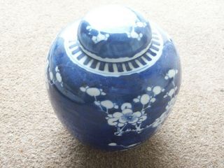 Chinese Large (18cms High) Prunus Blue & White Ginger Jar Double Ring To Base