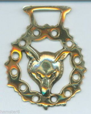 Fox Head Horse Brass (n4084)  (i Always Combine)