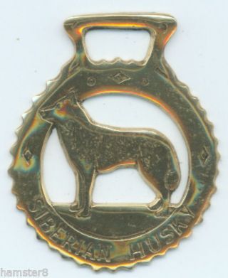 Siberian Husky Horse Brass (n1697)