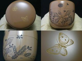 Japan White Lacquer Wooden Tea Caddy Butterfly At The Field Design Natsume (705)