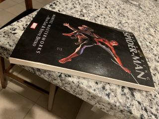 Marvel Masterworks Spider - Man Volume 1 By: Stan Lee Steve Ditko RARE 2