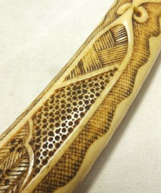 H779: Japanese really old KISERU case with very good taste and fine pattern 5