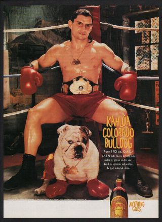 1999 Boxer & Cute English Bulldog Wearing Boxing Gloves - Kahlua Vintage Ad