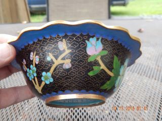 Antique Chinese Cloisonne Bowl - Chrysanthemum w/Turquoise Inlay - Bronze/Brass 5