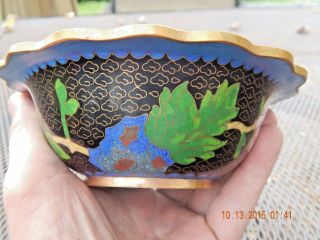 Antique Chinese Cloisonne Bowl - Chrysanthemum w/Turquoise Inlay - Bronze/Brass 7